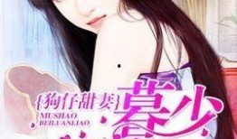 娱乐圈狗仔爆料小说推荐,揭秘明星背后的秘密与爱恨情仇