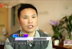 小肥仔被爆料家暴视频,真相与反思